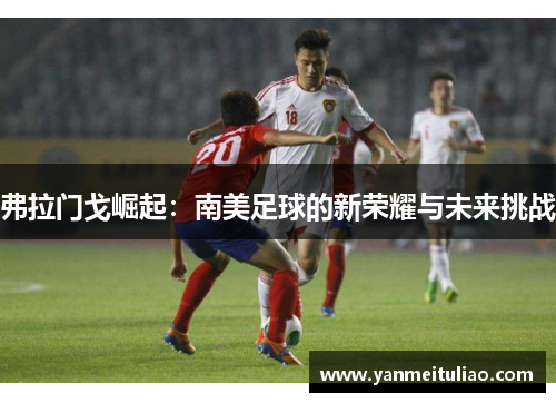 弗拉门戈崛起：南美足球的新荣耀与未来挑战