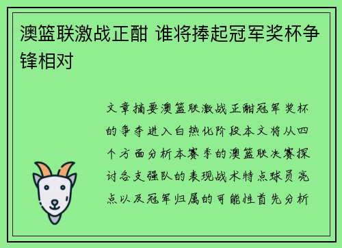 澳篮联激战正酣 谁将捧起冠军奖杯争锋相对